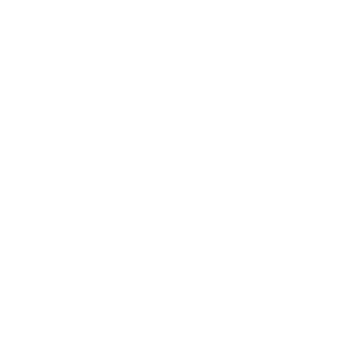 icon dynamic cart 1